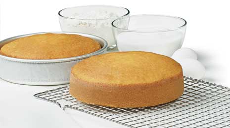 wiltoni sponge/biskviit
